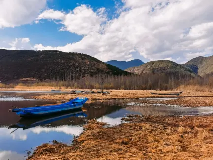 Winning Kasino Mobilní aplikace
